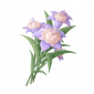道具橙紫双色蓬蓬兰.png