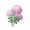 道具暮光双色团团花.png