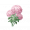 道具柔粉团团花.png