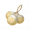 道具明黄叮当果.png