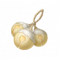 道具明黄叮当果.png