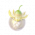 道具日光果.png