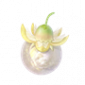 道具日光果.png