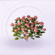家具花丛·绯.png
