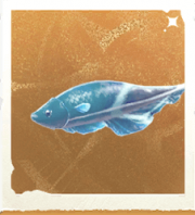 生物羽毛笔鱼.png