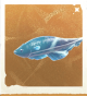 生物羽毛笔鱼.png