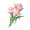 道具锦绣双色蓬蓬兰.png