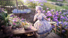 群芳的剪影