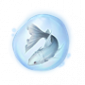 道具纱裙鱼精粹.png