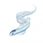 道具缎带鱼.png