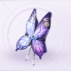 部件斑斓的蝶影01.png