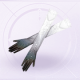 部件星轨光年01.png