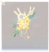 月桂兔·头部黄.png