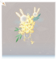 月桂兔·头部黄.png