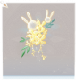 月桂兔·头部黄.png
