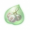道具薄紫叮当果精粹.png