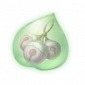 道具薄紫叮当果精粹.png