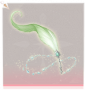 生命之书·手部绿.png
