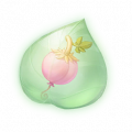 道具风旋果精粹.png