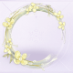 头像框金蕊初绽01.png