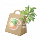 道具飞球果种子.png