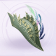 部件不羁暗翎·叛影01.png