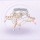 部件摘星以赠01.png