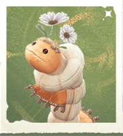生物围巾蚯蚓.png