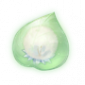 道具草绒球精粹.png
