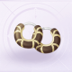 部件点点花语·无忧01.png