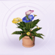家具嘭嘭叭叭盆栽.png