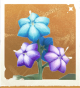 生物星荧草.png