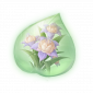 道具橙紫双色蓬蓬兰精粹.png