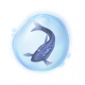 道具插梳鱼精粹.png
