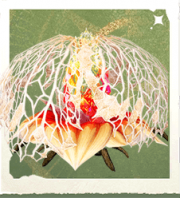 生物垂穗魔花.png