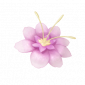 道具胭脂芙蕖.png