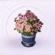 家具青蓝园艺花盆.png