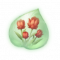 道具榴红杯杯香精粹.png
