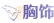 胸饰