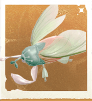 生物花球娘.png