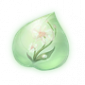 道具雨滴蝶兰精粹.png