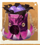 生物偏激章鱼袋.png