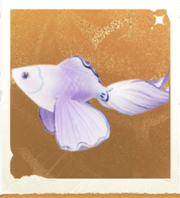 生物雾绡鱼.png