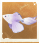生物雾绡鱼.png
