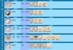 20250216-6.jpg
