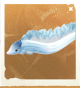 生物缎带鱼.png