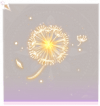 风之律·头部黄.png