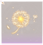 风之律·头部黄.png