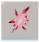 陨星·手部红.png