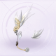 部件曜翎初愿·响彻01.png